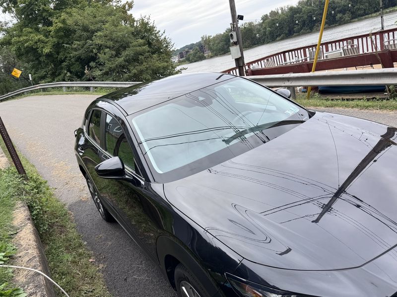 Hood and windshield after the wash.
