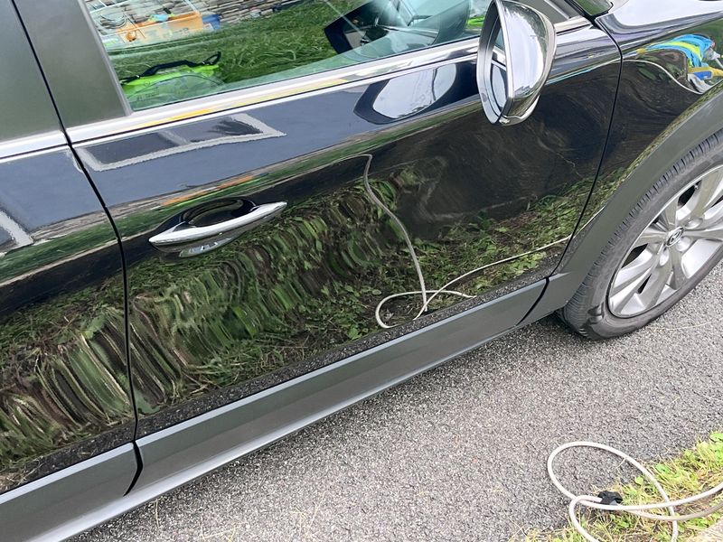 Door panels reflecting the grass after the wash.
