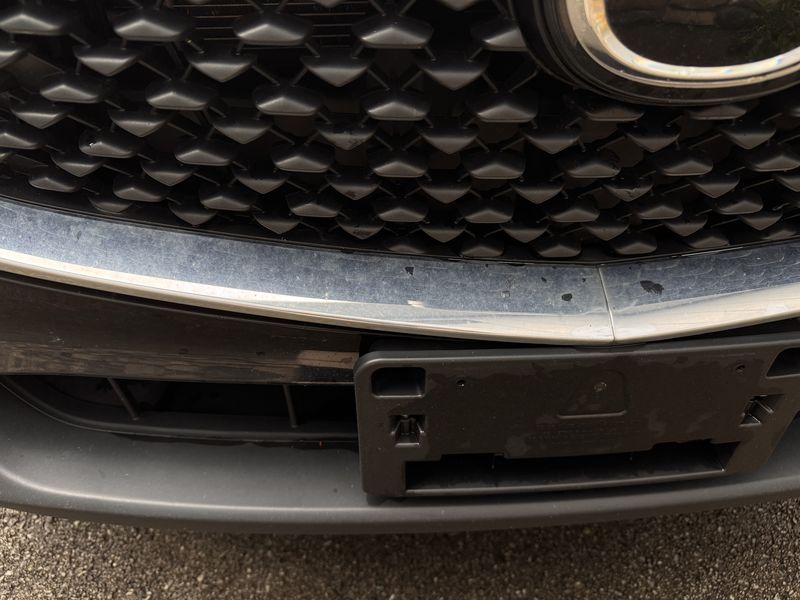 Grille and chrome trim before, with bug debris.