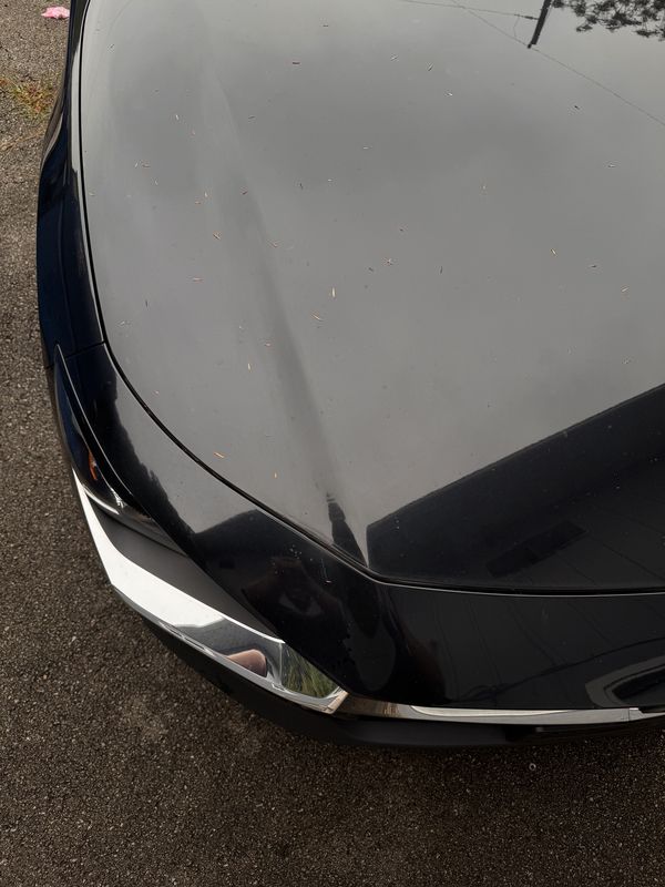 Hood before the wash.