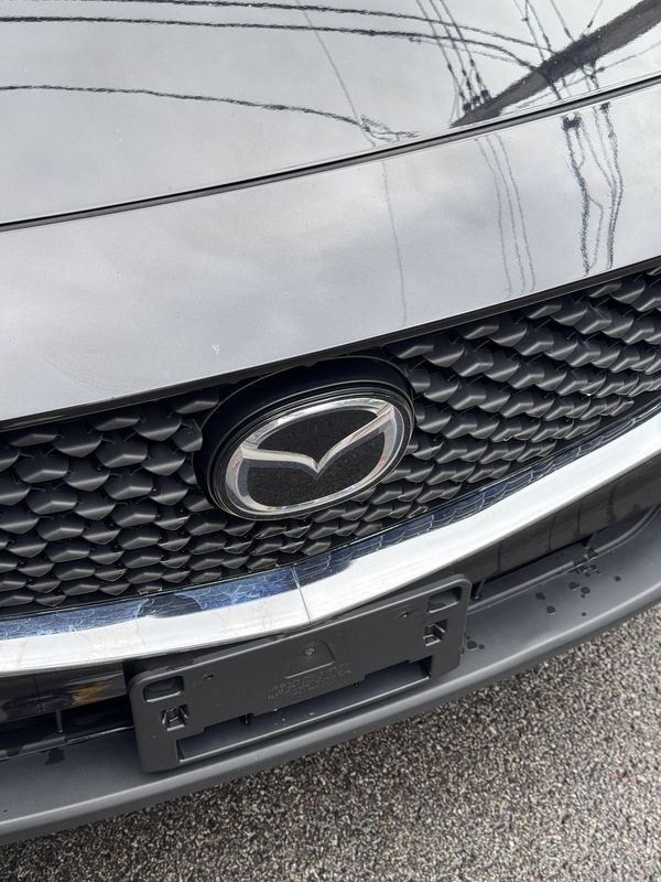 Grille and badge before the wash.