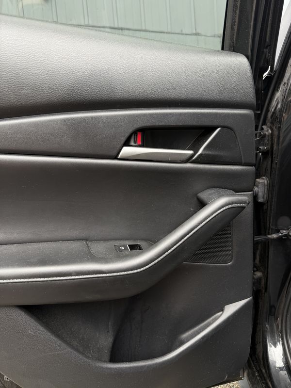 Rear door panel during the interior clean.