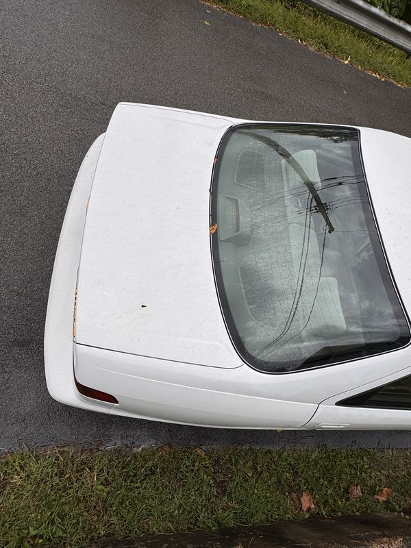 Roof and rear window before the wash.