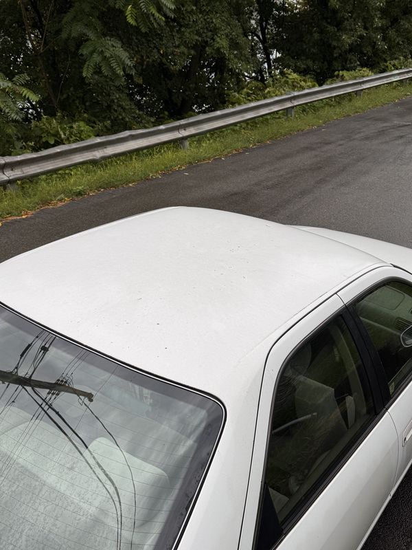 Roof and windshield before the wash.