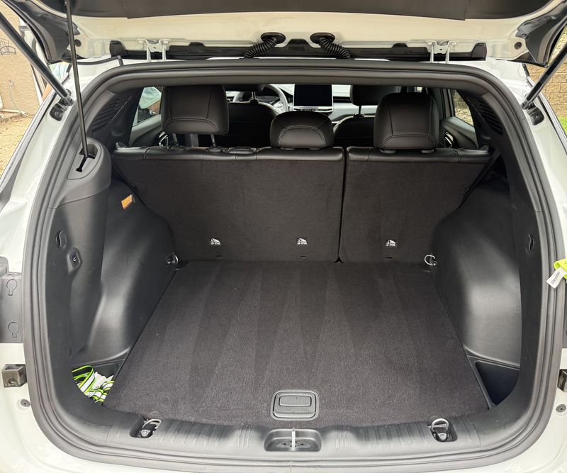 Cargo area from the open tailgate.
