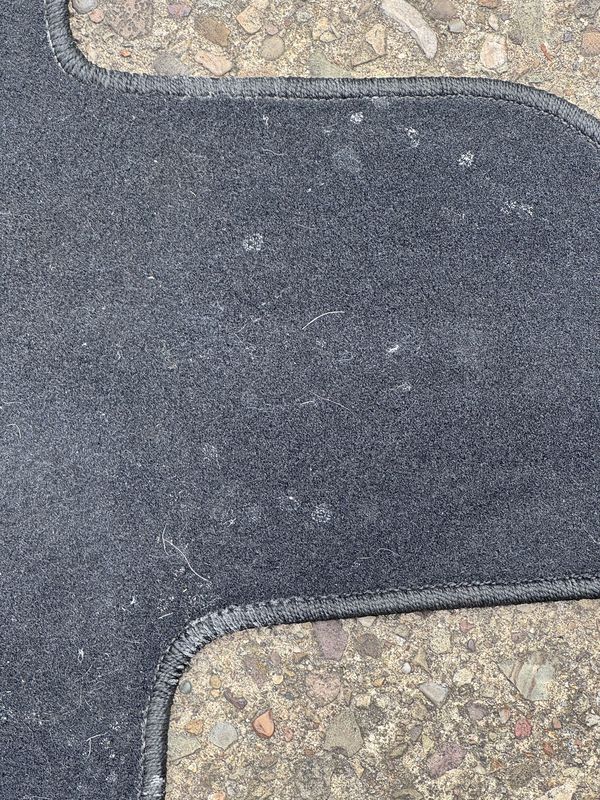 Floor mat before cleaning.
