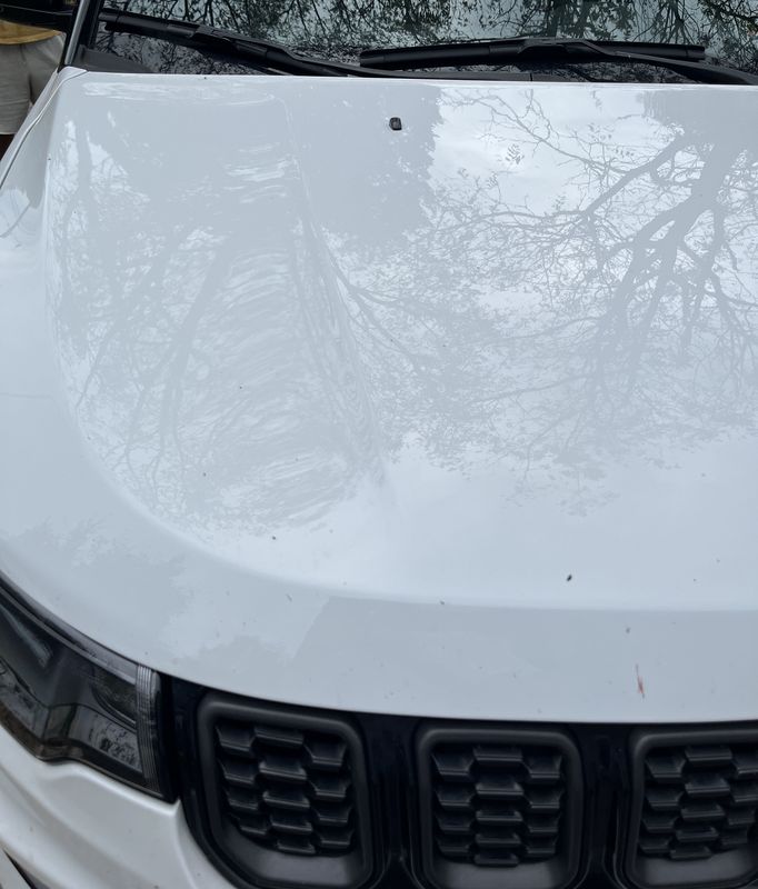 Hood before the wash.