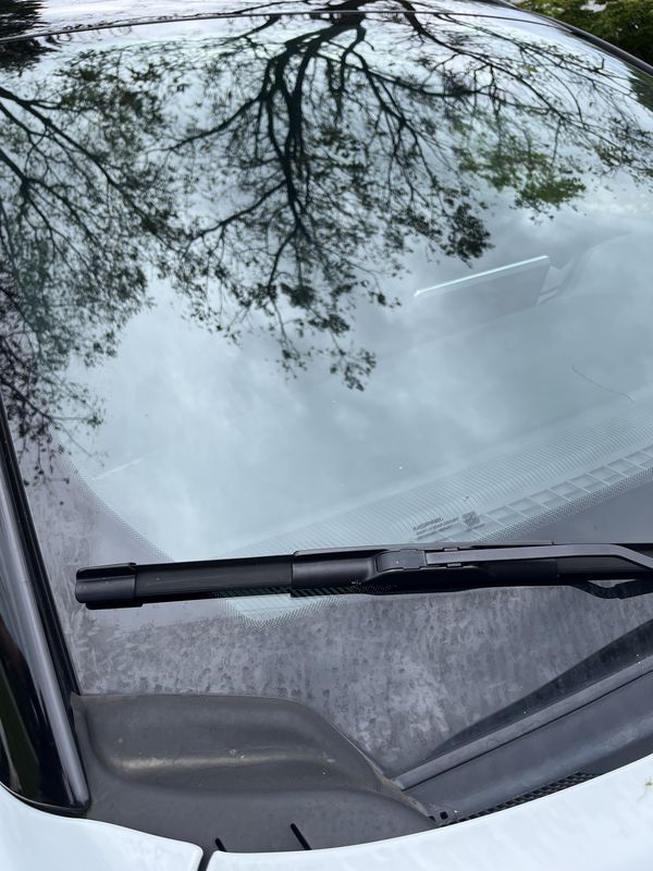 Windshield and wiper cowl before the wash.