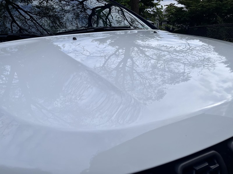 Hood and roof reflecting bare tree branches after the wash.