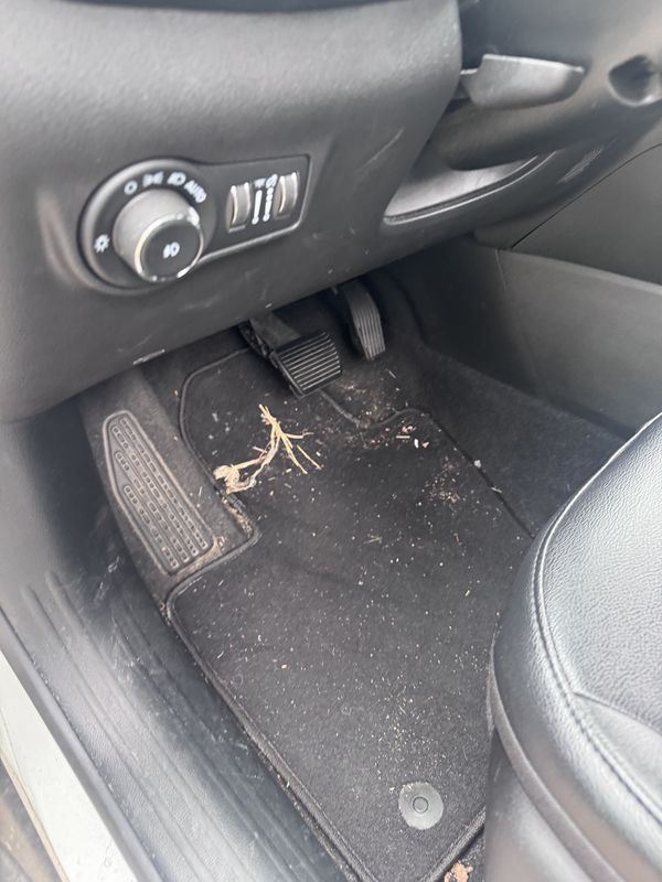 Driver footwell with leaves and debris on the mat.