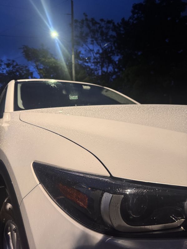 Headlight and hood at dusk.
