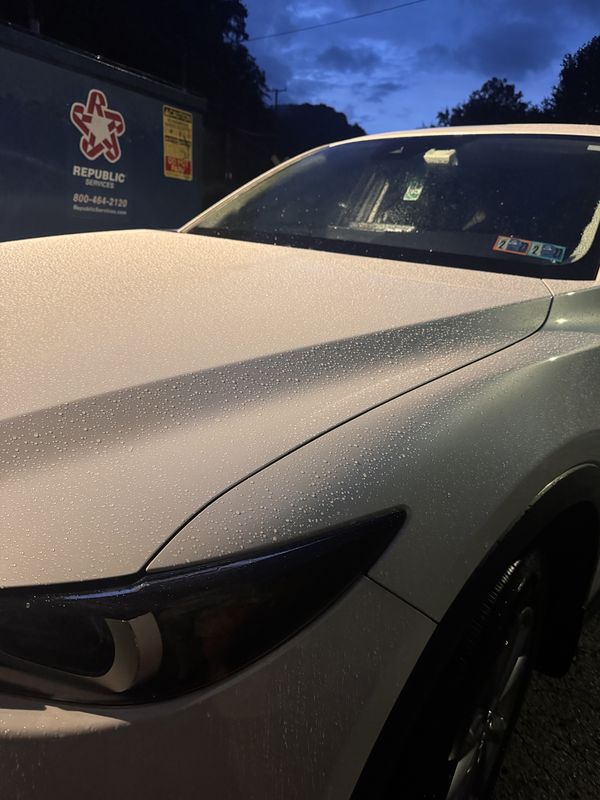 Hood and headlight with water beading.