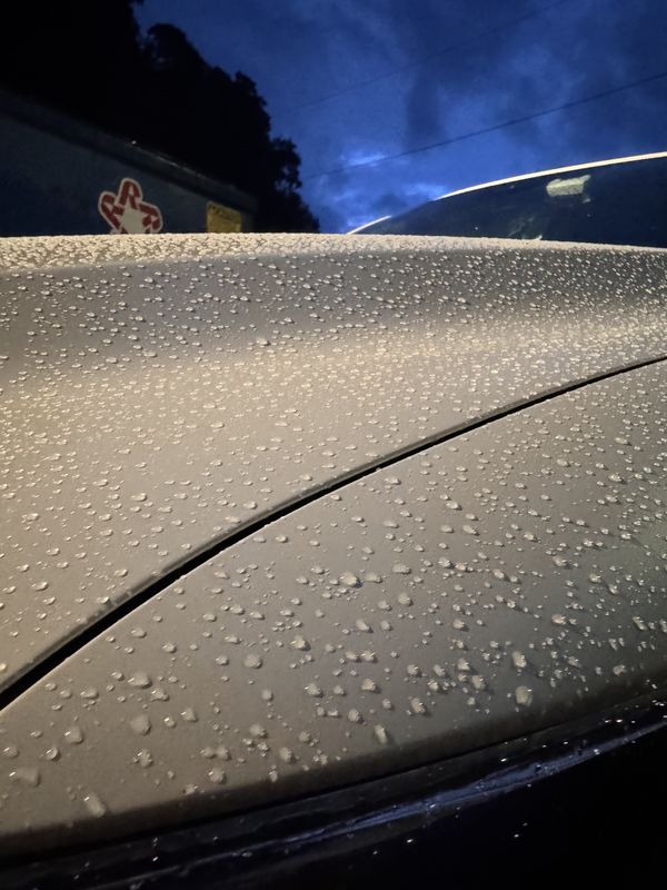 Water beading on the hood.