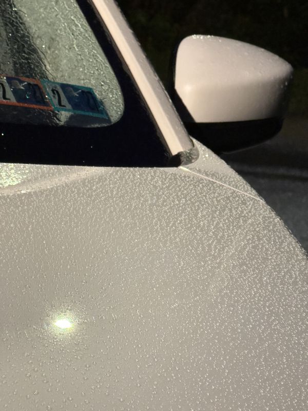 Side mirror and door with water beading.